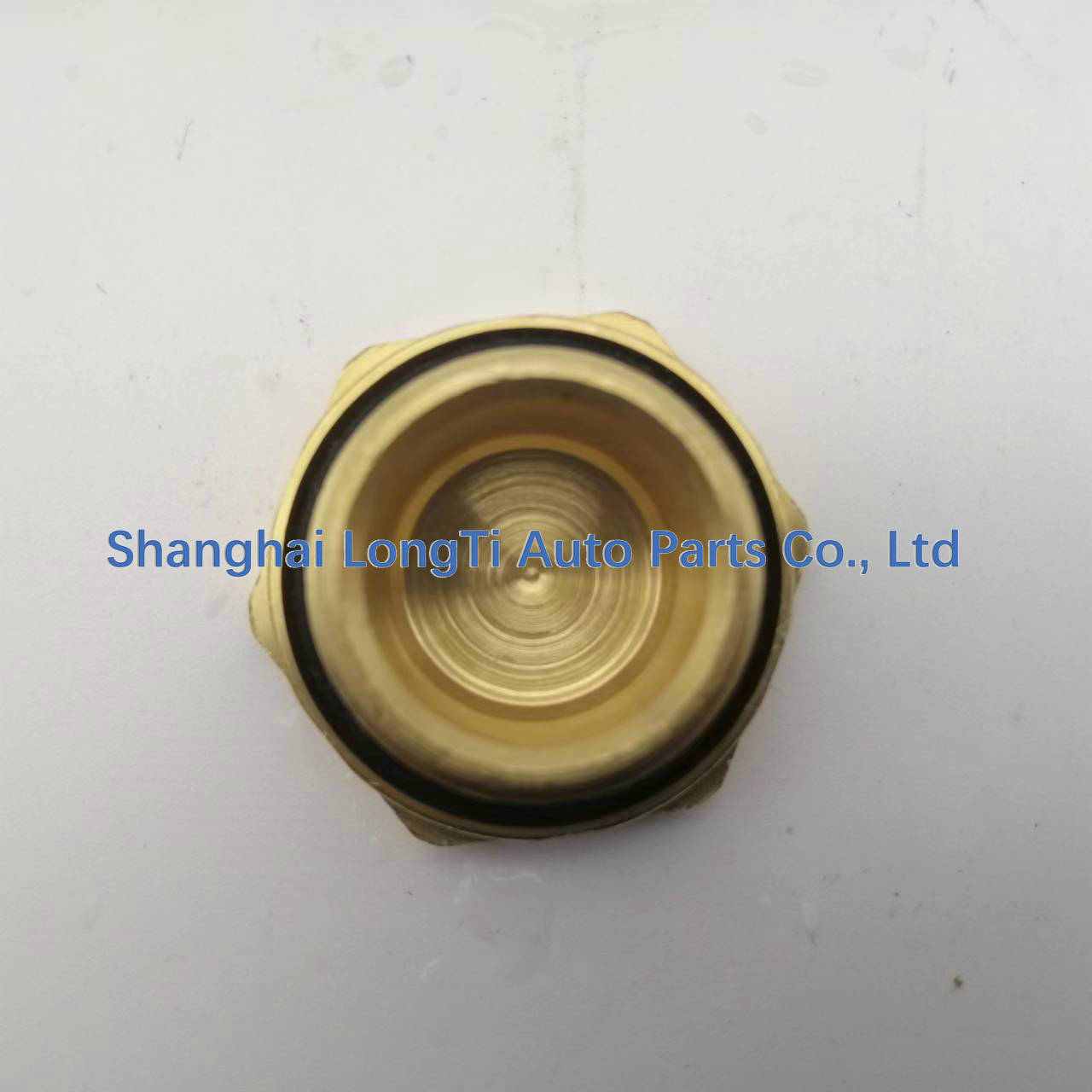Raufoss PORT PLUG 6237608
